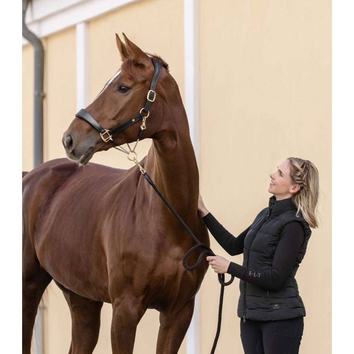 Waldhausen Cabezada S-Line Leather Negro