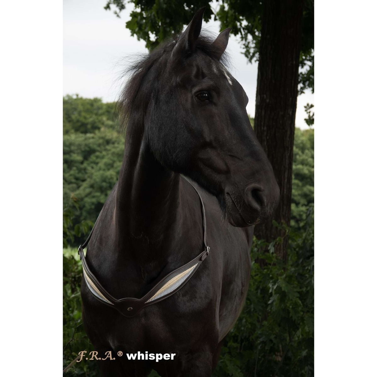 F.R.A. Rienda de Equilibrio Whisper Marron