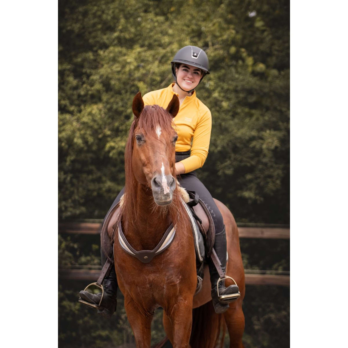 F.R.A. Rienda de Equilibrio Whisper Marron