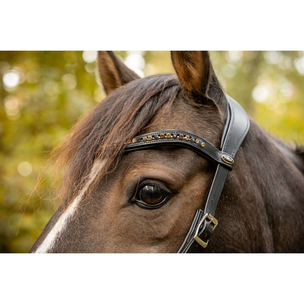 F.R.A. Brida sin Bocado Moonlight Negro
