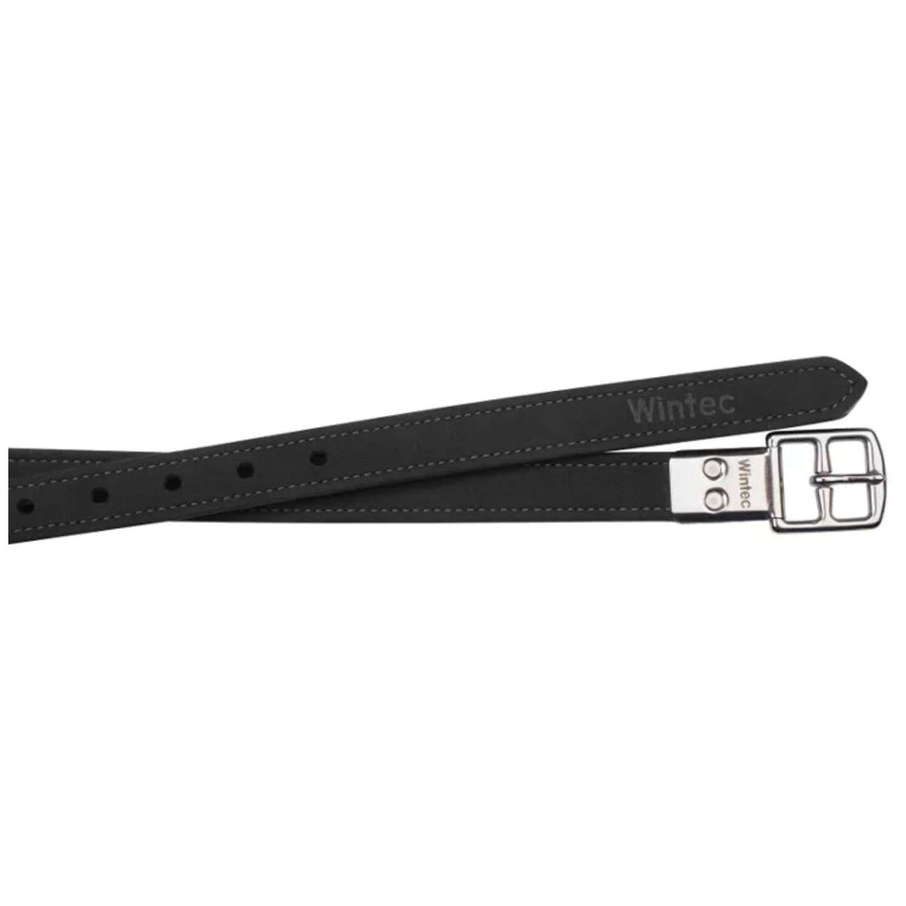 Wintec Correas de estribo Pro Negro