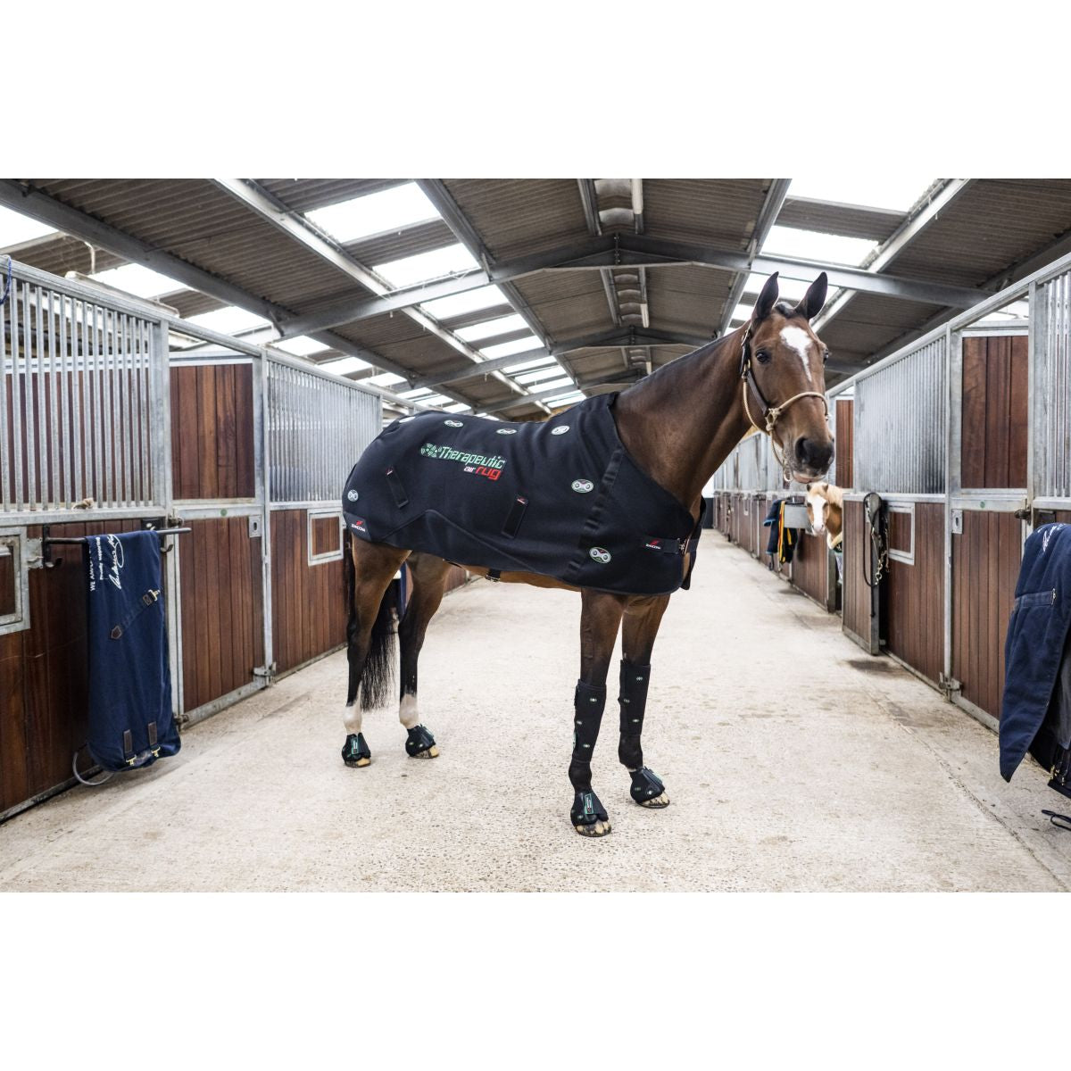 Zandona Manta Terapéutica Air Negro